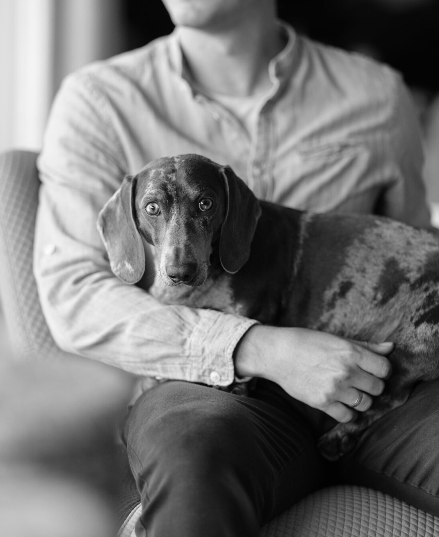 Huis-Creemers-Merlot (1)